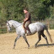 --------------------------------- ANDARE A CAVALLO - ---------------------------