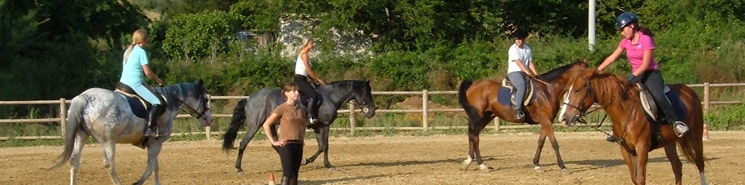 Imparare..... per divertirsi a Cavallo!       the ...