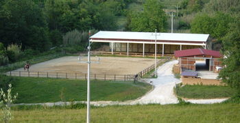 DSCF1050.JPG