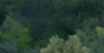 DSCF1050.JPG