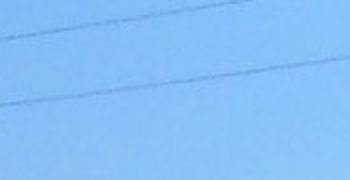Cavalli in monta inglese