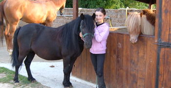 I Ponies: piccoli cavalli per piccoli cavalieri