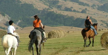 Scuola Regionale Trekking Equestri